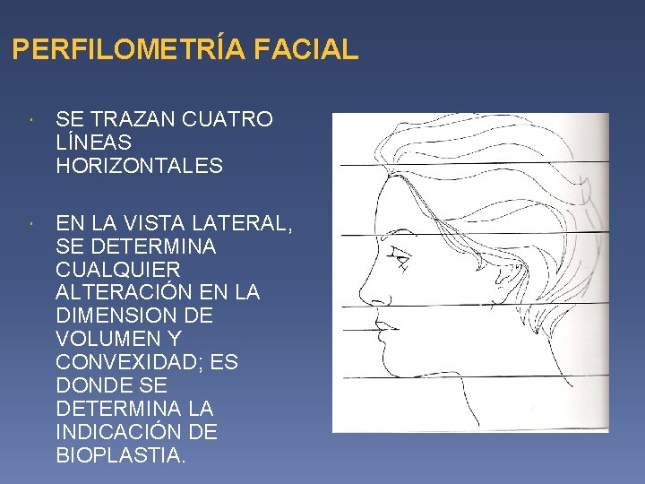 PERFILOMETRÍA FACIAL SE TRAZAN CUATRO LÍNEAS HORIZONTALES EN LA VISTA LATERAL, SE DETERMINA CUALQUIER