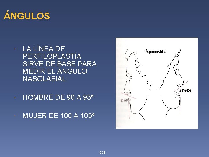 ÁNGULOS LA LÍNEA DE PERFILOPLASTÍA SIRVE DE BASE PARA MEDIR EL ÁNGULO NASOLABIAL: HOMBRE ÁNGULOS LA LÍNEA DE PERFILOPLASTÍA SIRVE DE BASE PARA MEDIR EL ÁNGULO NASOLABIAL: HOMBRE