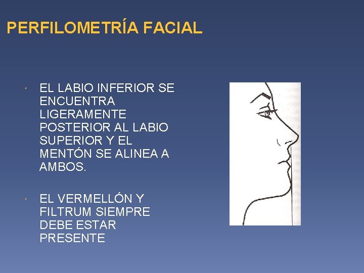 PERFILOMETRÍA FACIAL EL LABIO INFERIOR SE ENCUENTRA LIGERAMENTE POSTERIOR AL LABIO SUPERIOR Y EL PERFILOMETRÍA FACIAL EL LABIO INFERIOR SE ENCUENTRA LIGERAMENTE POSTERIOR AL LABIO SUPERIOR Y EL