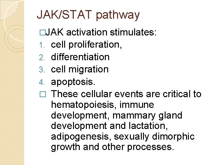 JAK/STAT pathway �JAK activation stimulates: 1. 2. 3. 4. � cell proliferation, differentiation cell