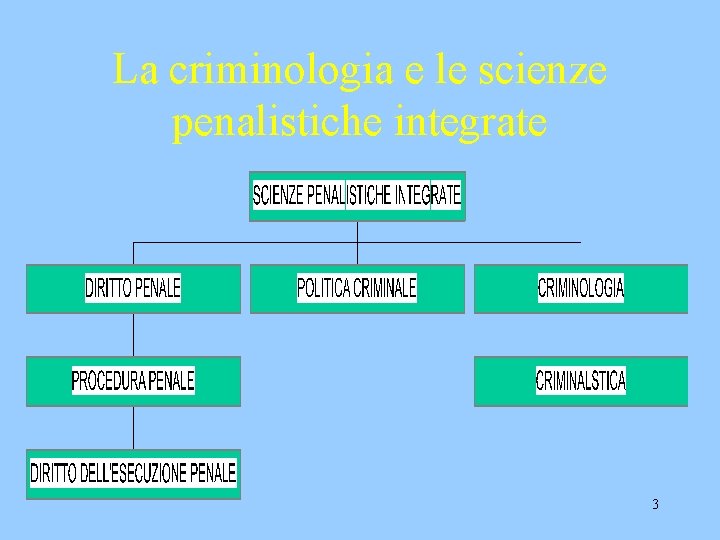 La criminologia e le scienze penalistiche integrate 3 