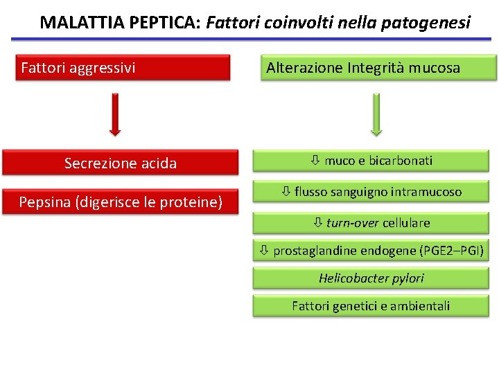 MALATTIA PEPTICA: Fattori coinvolti nella patogenesi Fattori aggressivi Secrezione acida Pepsina (digerisce le proteine)