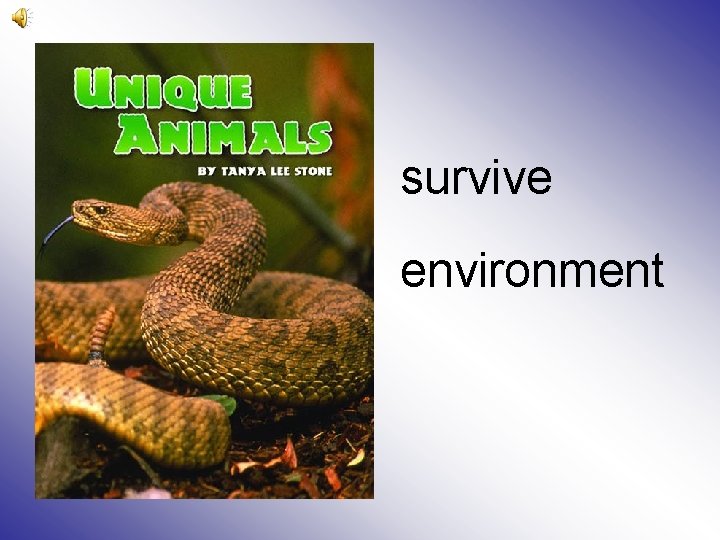 survive environment 