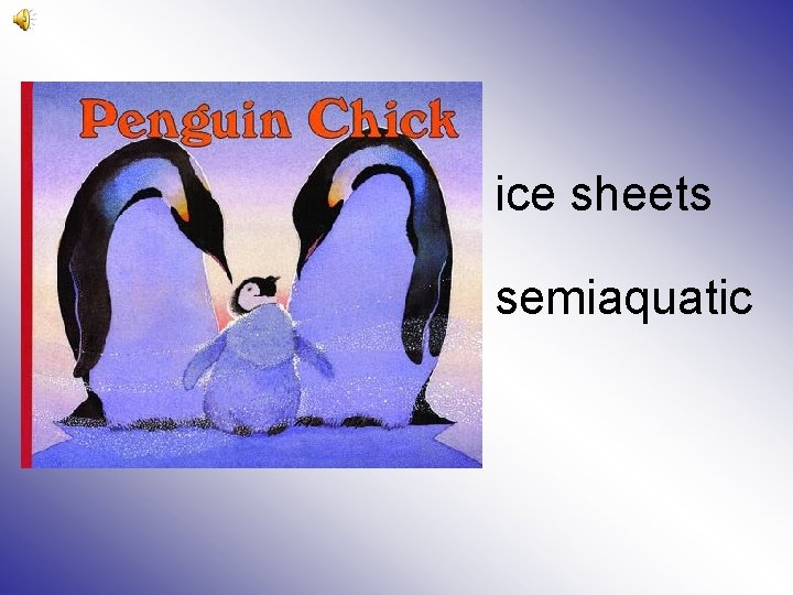 ice sheets semiaquatic 