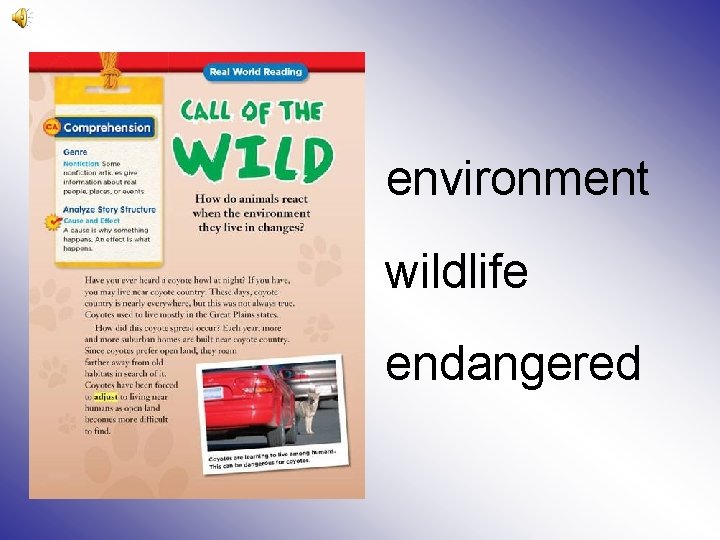 environment wildlife endangered 