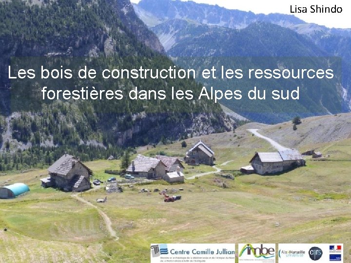 Lisa Shindo Les bois de construction et les ressources forestières dans les Alpes du