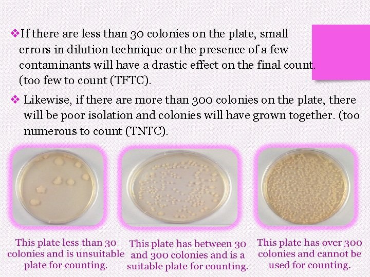 v. If there are less than 30 colonies on the plate, small errors in v. If there are less than 30 colonies on the plate, small errors in