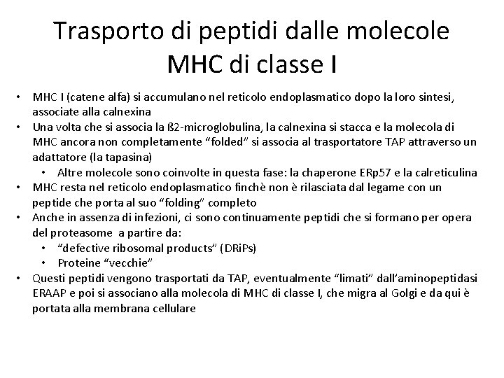 Trasporto di peptidi dalle molecole MHC di classe I • MHC I (catene alfa)