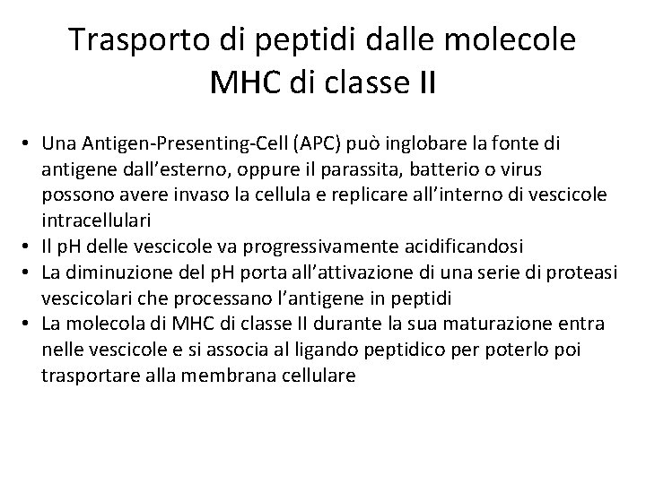 Trasporto di peptidi dalle molecole MHC di classe II • Una Antigen-Presenting-Cell (APC) può