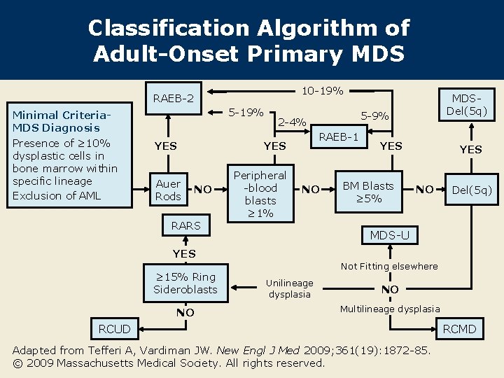 Classification Algorithm of Adult-Onset Primary MDS 10 -19% RAEB-2 Minimal Criteria. MDS Diagnosis Presence