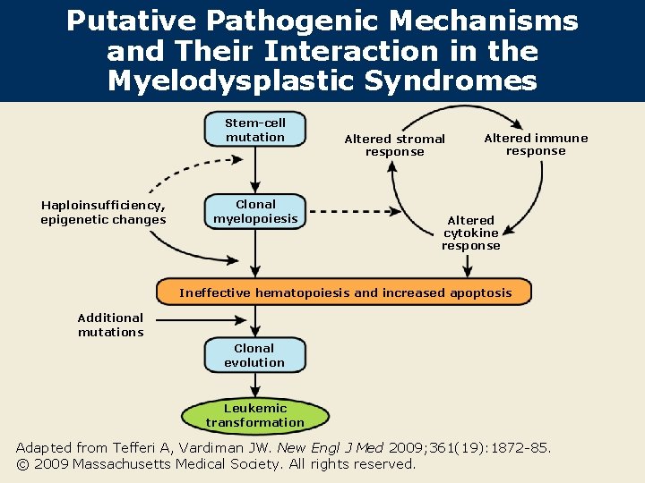 Putative Pathogenic Mechanisms and Their Interaction in the Myelodysplastic Syndromes Stem-cell mutation Haploinsufficiency, epigenetic