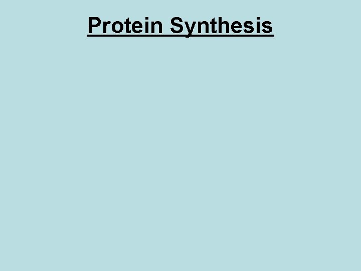 Protein Synthesis 