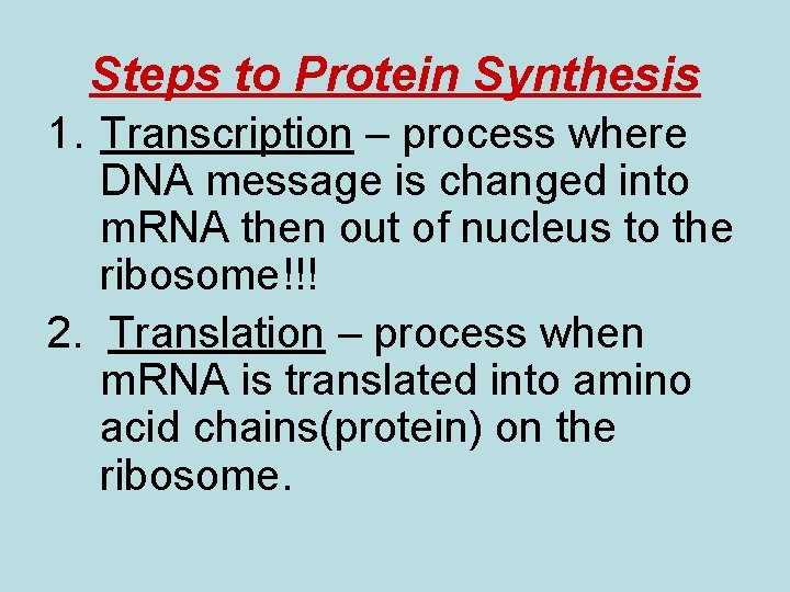 Steps to Protein Synthesis 1. Transcription – process where DNA message is changed into