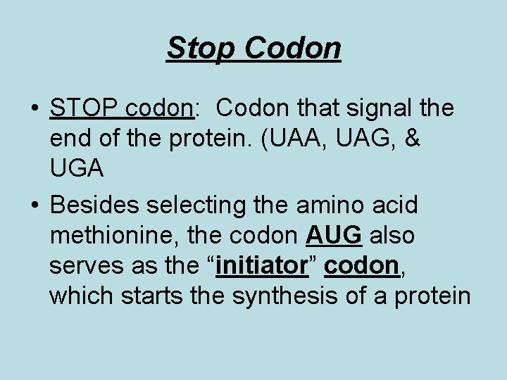 Stop Codon • STOP codon: Codon that signal the end of the protein. (UAA,