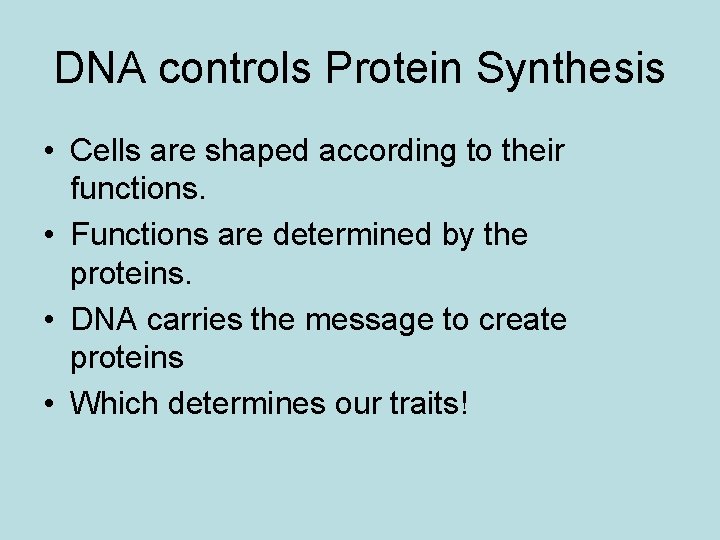 DNA controls Protein Synthesis • Cells are shaped according to their functions. • Functions