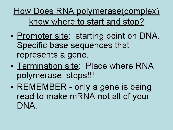 How Does RNA polymerase(complex) know where to start and stop? • Promoter site: starting