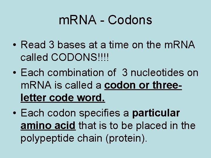 m. RNA - Codons • Read 3 bases at a time on the m.