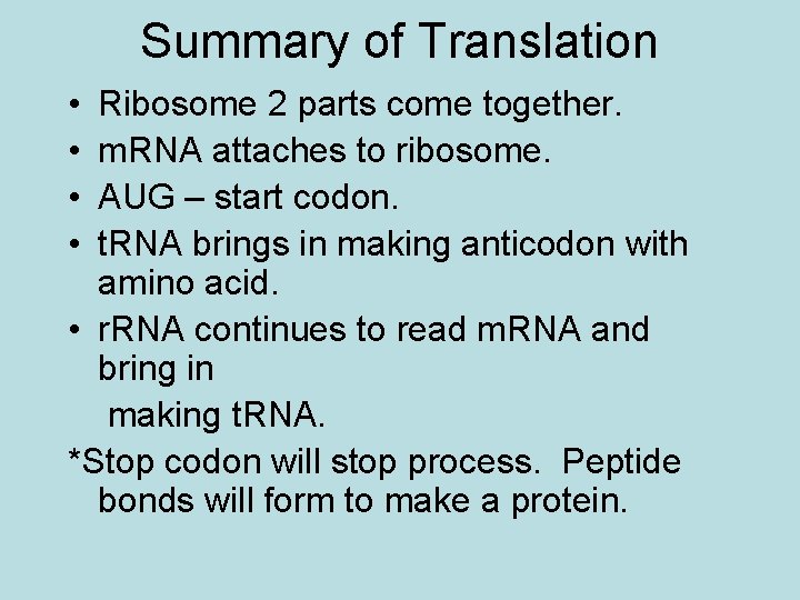 Summary of Translation • • Ribosome 2 parts come together. m. RNA attaches to