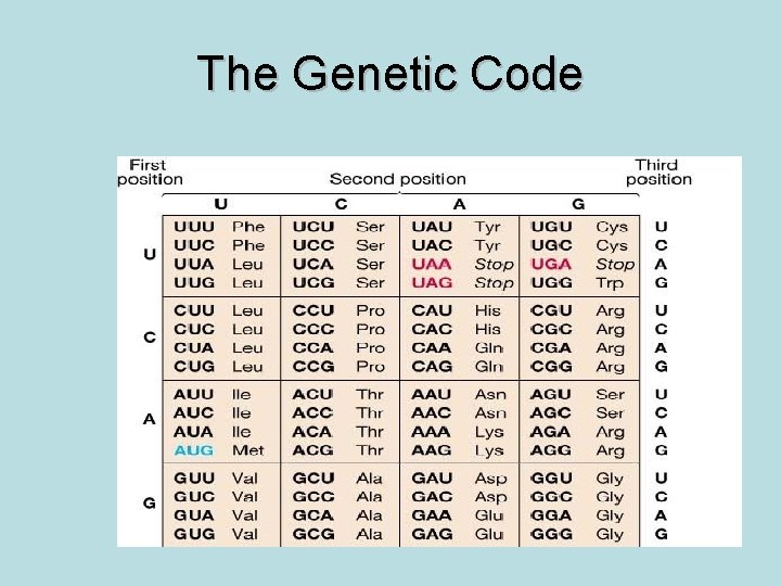 The Genetic Code 