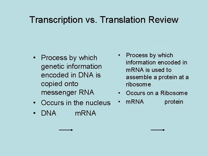 Transcription vs. Translation Review Transcription • Process by which genetic information encoded in DNA