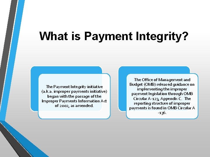 What is Payment Integrity? The Payment Integrity initiative (a. k. a. improper payments initiative)