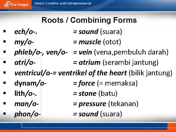 § § § § § Roots / Combining Forms ech/o-. = sound (suara) my/o=