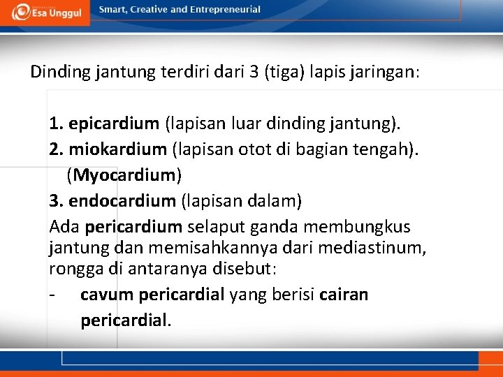 Dinding jantung terdiri dari 3 (tiga) lapis jaringan: 1. epicardium (lapisan luar dinding jantung).