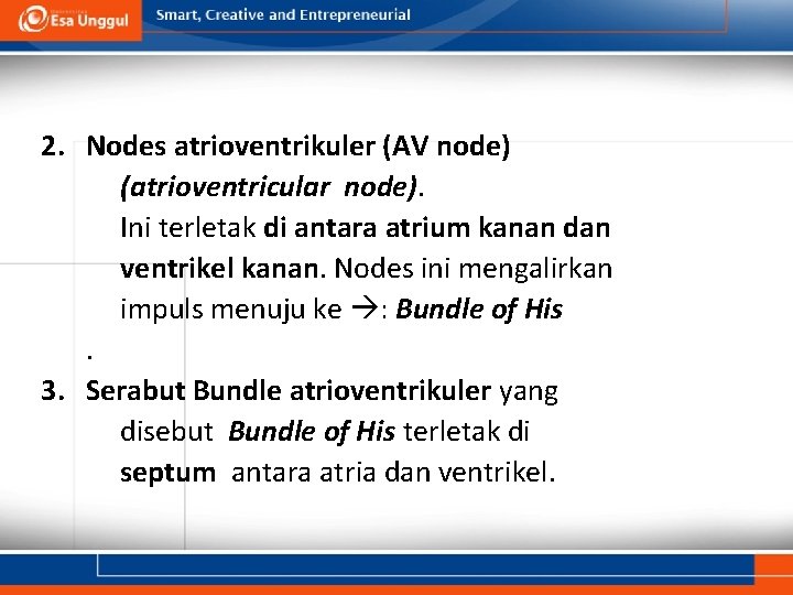2. Nodes atrioventrikuler (AV node) (atrioventricular node). Ini terletak di antara atrium kanan dan