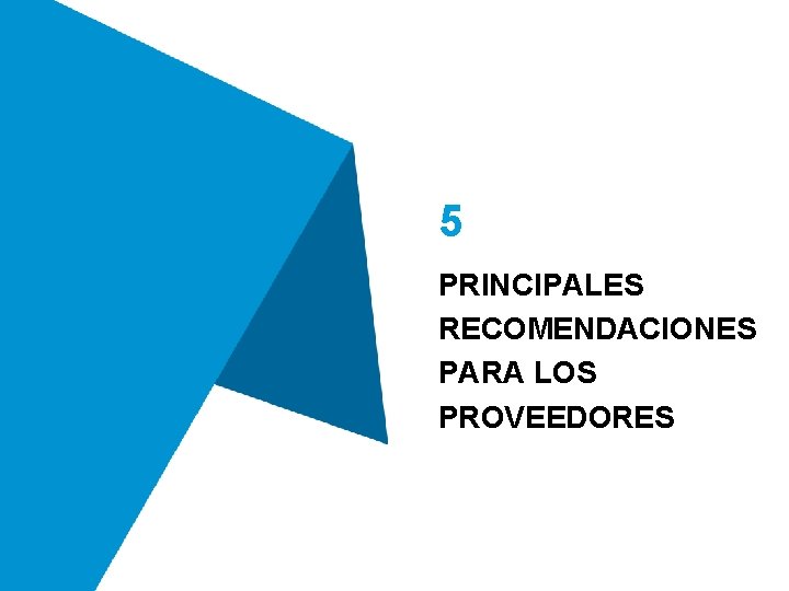 5 PRINCIPALES RECOMENDACIONES PARA LOS PROVEEDORES 