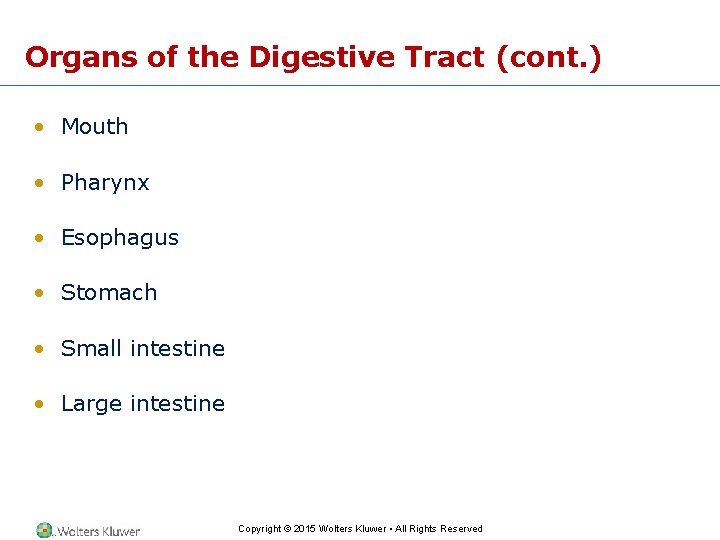 Organs of the Digestive Tract (cont. ) • Mouth • Pharynx • Esophagus •