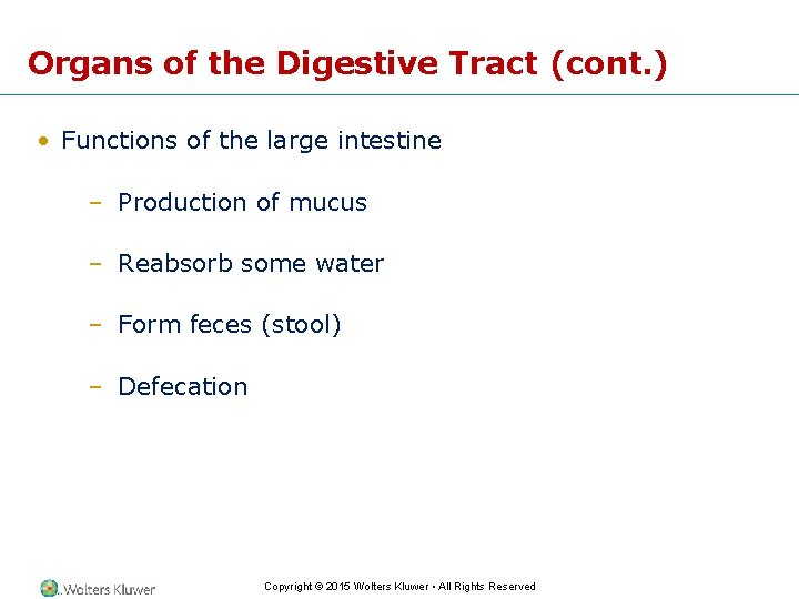 Organs of the Digestive Tract (cont. ) • Functions of the large intestine –