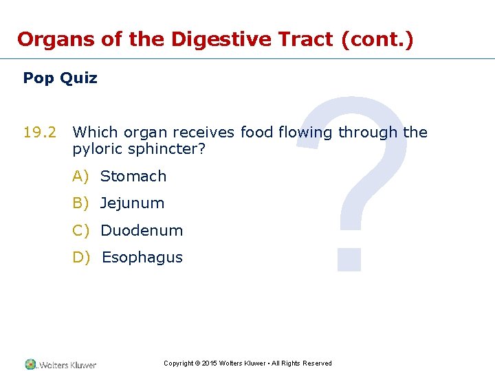 Organs of the Digestive Tract (cont. ) Pop Quiz ? 19. 2 Which organ