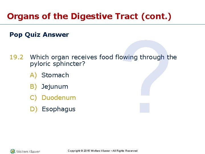 Organs of the Digestive Tract (cont. ) Pop Quiz Answer ? 19. 2 Which