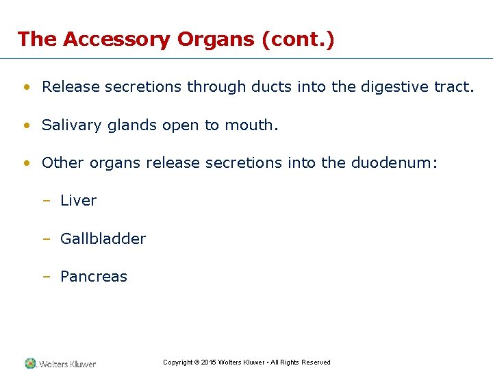 The Accessory Organs (cont. ) • Release secretions through ducts into the digestive tract.