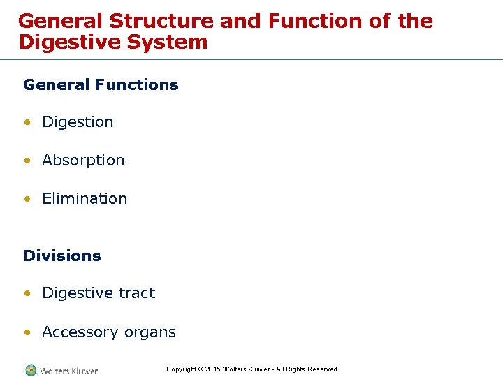 General Structure and Function of the Digestive System General Functions • Digestion • Absorption