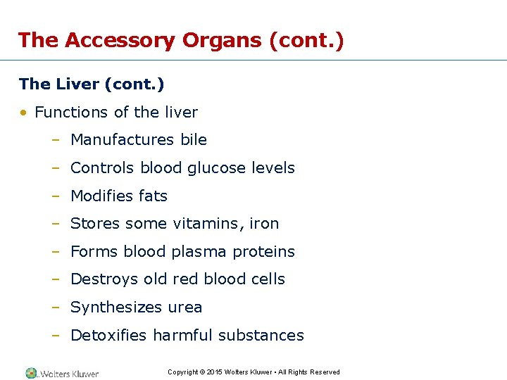 The Accessory Organs (cont. ) The Liver (cont. ) • Functions of the liver