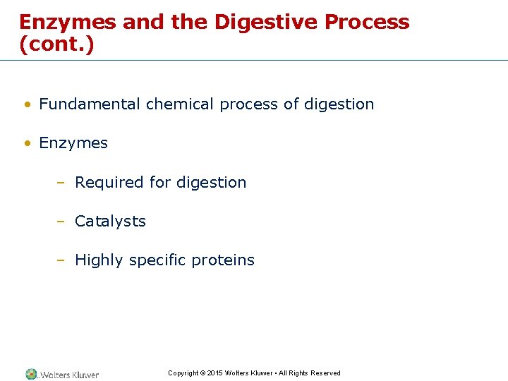Enzymes and the Digestive Process (cont. ) • Fundamental chemical process of digestion •