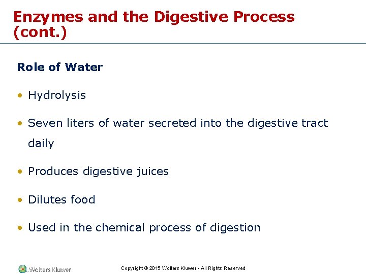 Enzymes and the Digestive Process (cont. ) Role of Water • Hydrolysis • Seven