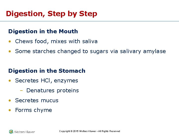 Digestion, Step by Step Digestion in the Mouth • Chews food, mixes with saliva