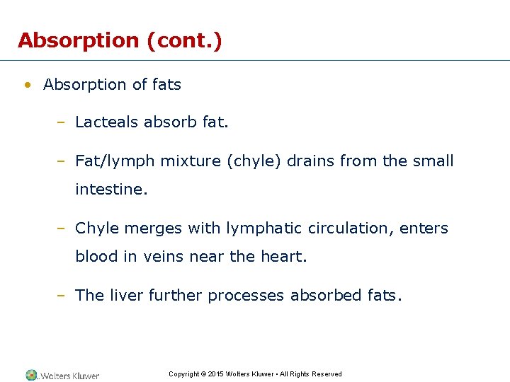 Absorption (cont. ) • Absorption of fats – Lacteals absorb fat. – Fat/lymph mixture