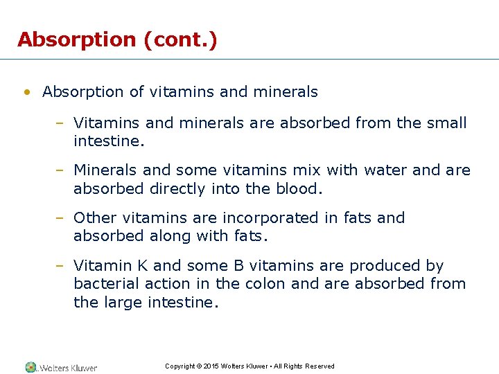 Absorption (cont. ) • Absorption of vitamins and minerals – Vitamins and minerals are