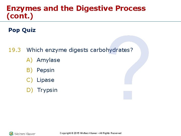 Enzymes and the Digestive Process (cont. ) Pop Quiz ? 19. 3 Which enzyme