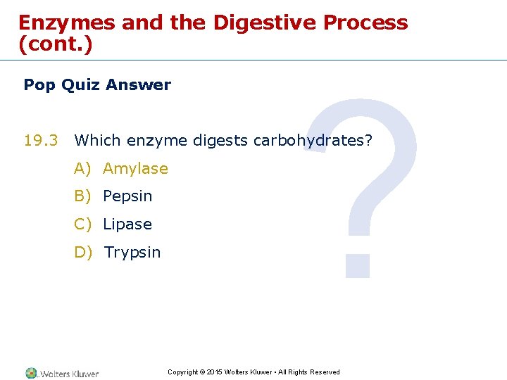 Enzymes and the Digestive Process (cont. ) Pop Quiz Answer ? 19. 3 Which