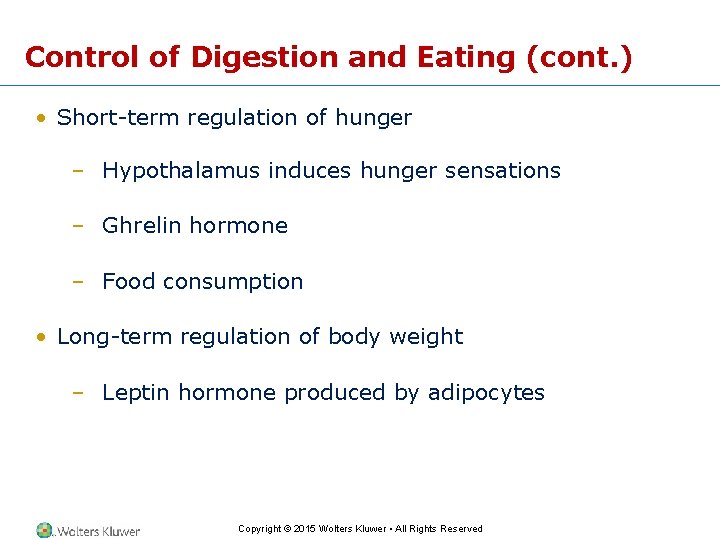 Control of Digestion and Eating (cont. ) • Short-term regulation of hunger – Hypothalamus