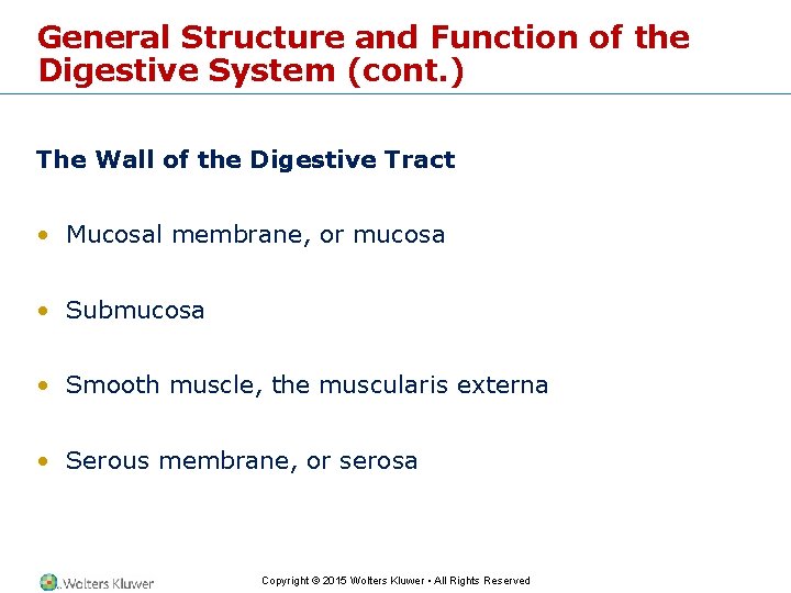 General Structure and Function of the Digestive System (cont. ) The Wall of the