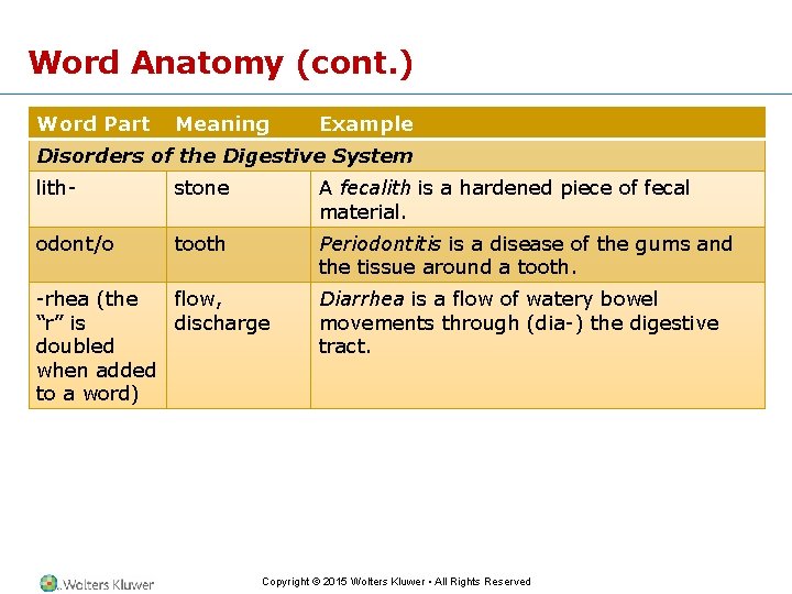 Word Anatomy (cont. ) Word Part Meaning Example Disorders of the Digestive System lith-