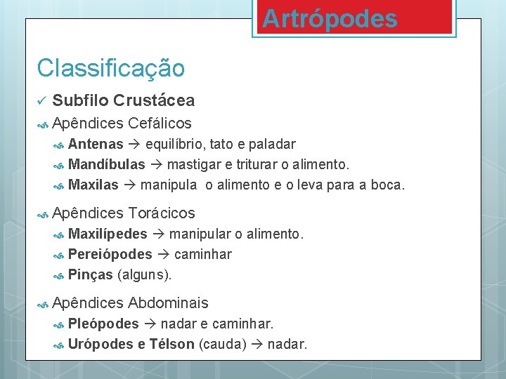Artrópodes Classificação ü Subfilo Crustácea Apêndices Cefálicos Antenas equilíbrio, tato e paladar Mandíbulas mastigar Artrópodes Classificação ü Subfilo Crustácea Apêndices Cefálicos Antenas equilíbrio, tato e paladar Mandíbulas mastigar
