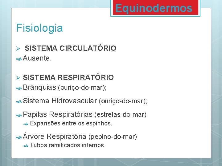 Equinodermos Fisiologia SISTEMA CIRCULATÓRIO Ausente. Ø SISTEMA RESPIRATÓRIO Brânquias (ouriço-do-mar); Ø Sistema Papilas Respiratórias Equinodermos Fisiologia SISTEMA CIRCULATÓRIO Ausente. Ø SISTEMA RESPIRATÓRIO Brânquias (ouriço-do-mar); Ø Sistema Papilas Respiratórias