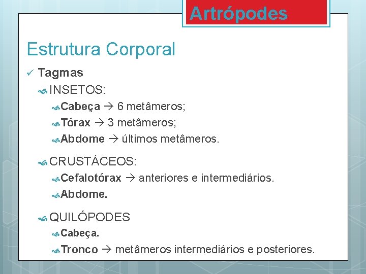 Artrópodes Estrutura Corporal ü Tagmas INSETOS: Cabeça 6 metâmeros; Tórax 3 metâmeros; Abdome últimos Artrópodes Estrutura Corporal ü Tagmas INSETOS: Cabeça 6 metâmeros; Tórax 3 metâmeros; Abdome últimos
