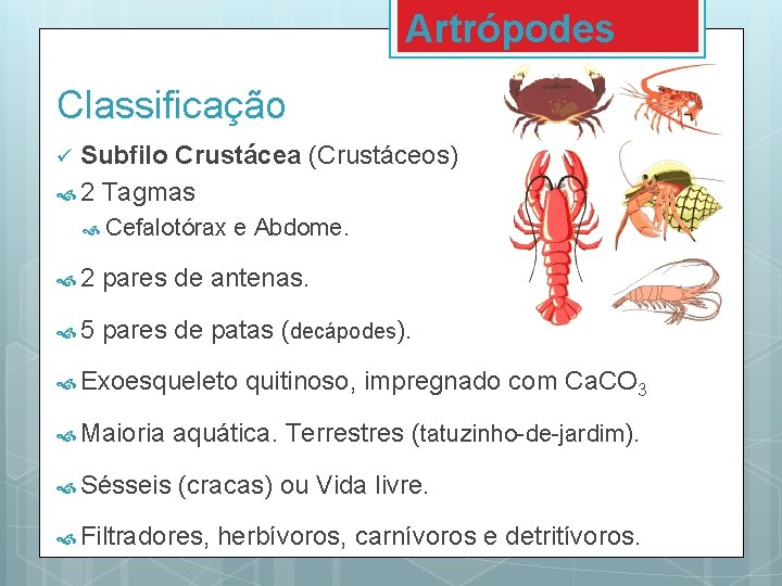 Artrópodes Classificação Subfilo Crustácea (Crustáceos) 2 Tagmas ü Cefalotórax e Abdome. 2 pares de Artrópodes Classificação Subfilo Crustácea (Crustáceos) 2 Tagmas ü Cefalotórax e Abdome. 2 pares de